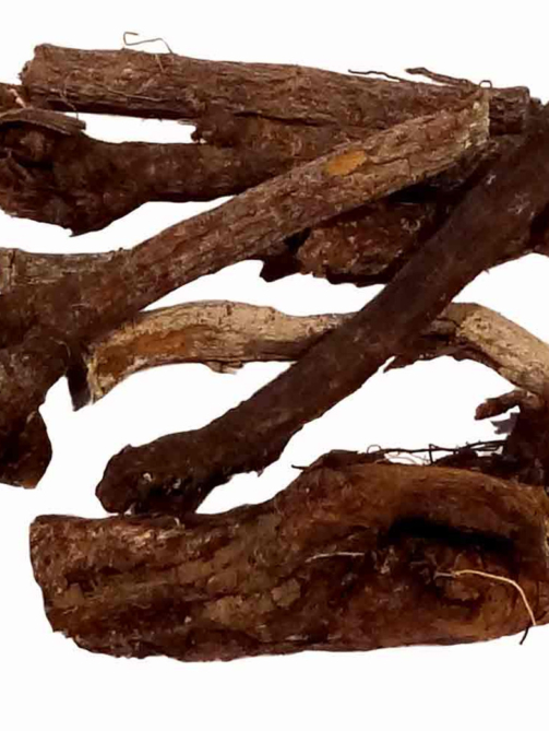Blackroot: Healing Uses & Health Benefits