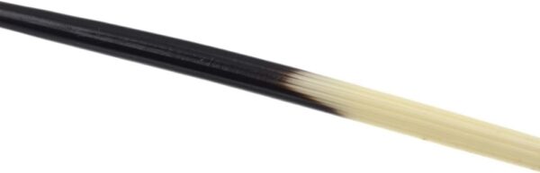 Porcupine Quills: Meaning & Uses - Image 3