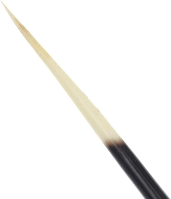 Porcupine Quills: Meaning & Uses - Image 6