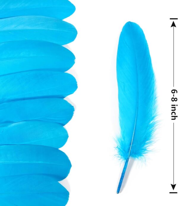 Feathers: Meaning and Cultural Use - Image 42