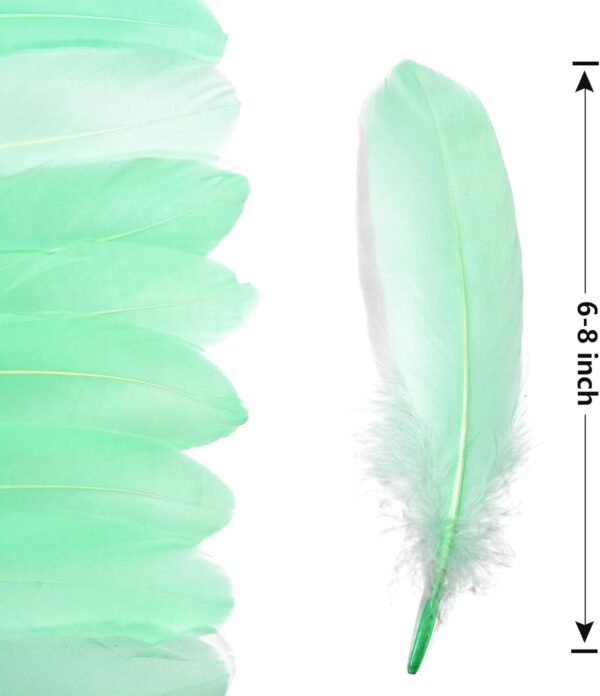 Feathers: Meaning and Cultural Use - Image 28