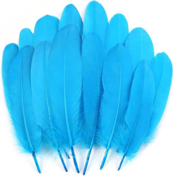 Feathers: Meaning and Cultural Use - Image 44