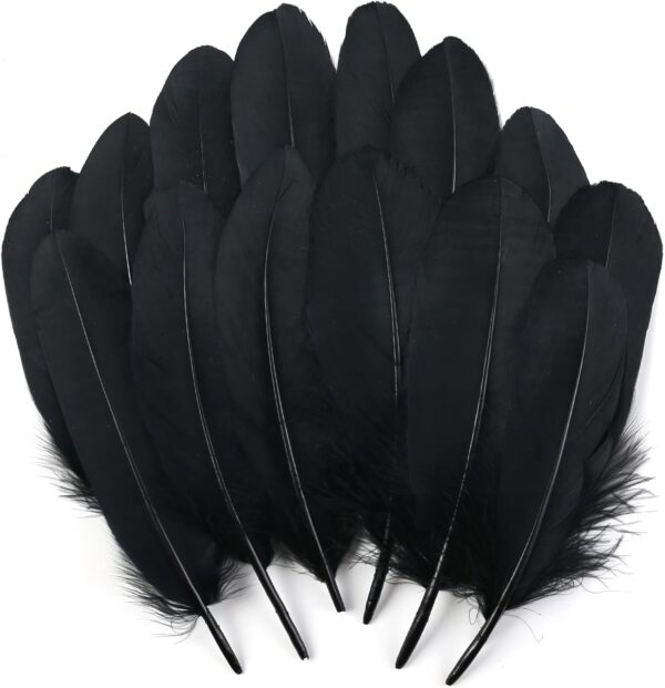 Feathers: Meaning and Cultural Use - Image 40