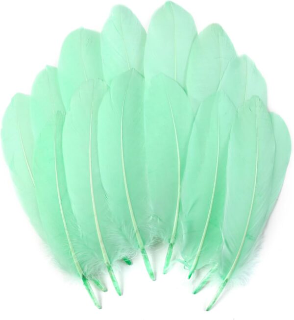 Feathers: Meaning and Cultural Use - Image 27