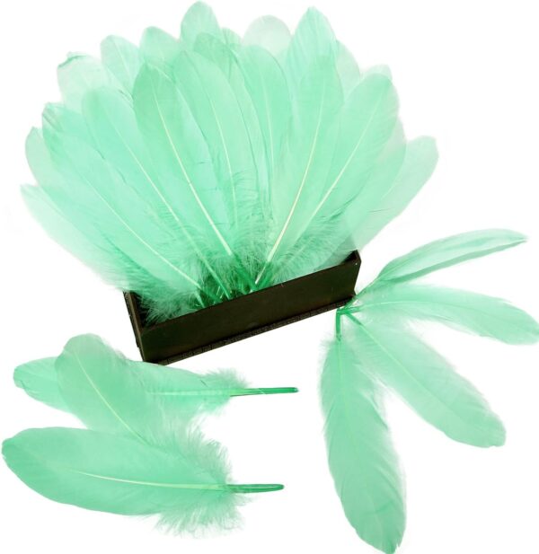 Feathers: Meaning and Cultural Use - Image 23