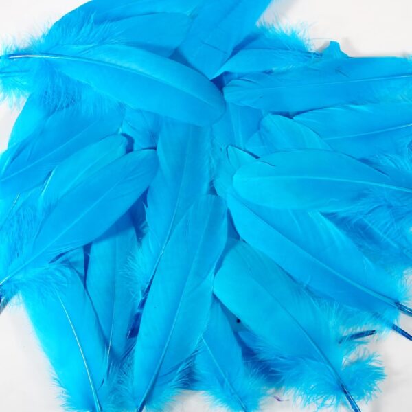 Feathers: Meaning and Cultural Use - Image 45