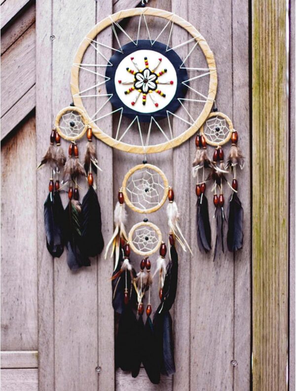 Feathers: Meaning and Cultural Use - Image 38