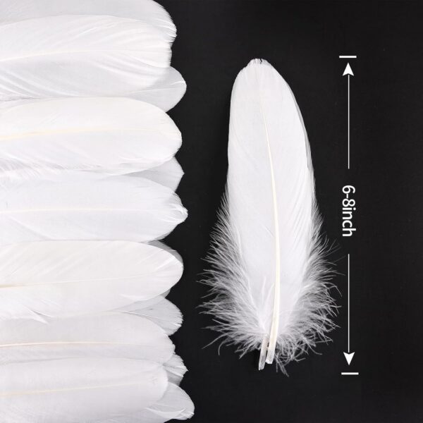 Feathers: Meaning and Cultural Use - Image 8