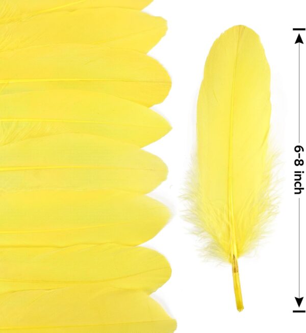 Feathers: Meaning and Cultural Use - Image 13