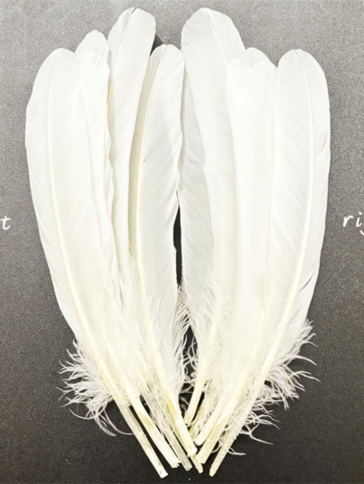 Native Feathers: Meaning & Use