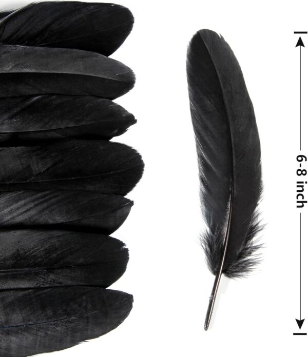 Feathers: Meaning and Cultural Use - Image 35