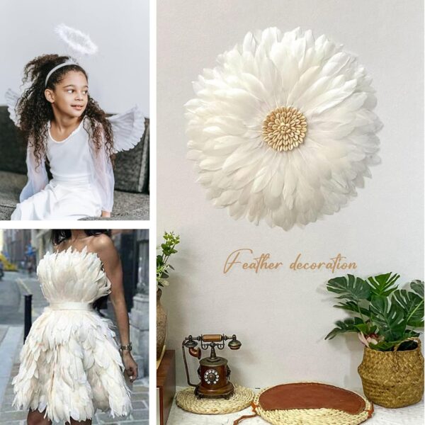 Feathers: Meaning and Cultural Use - Image 7