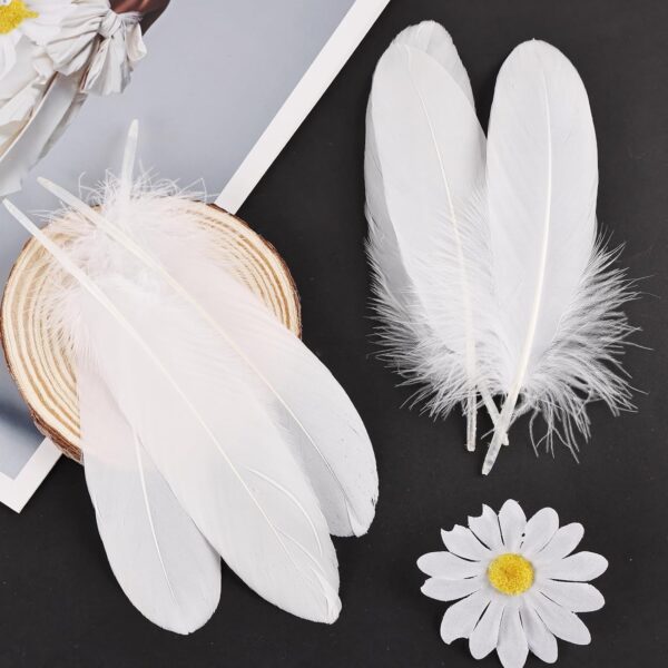 Feathers: Meaning and Cultural Use - Image 6