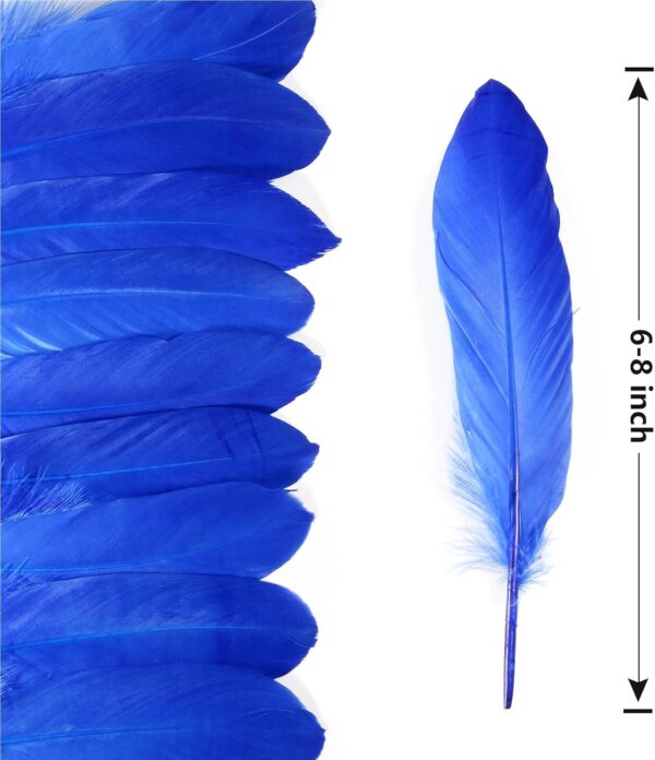 Feathers: Meaning and Cultural Use - Image 20