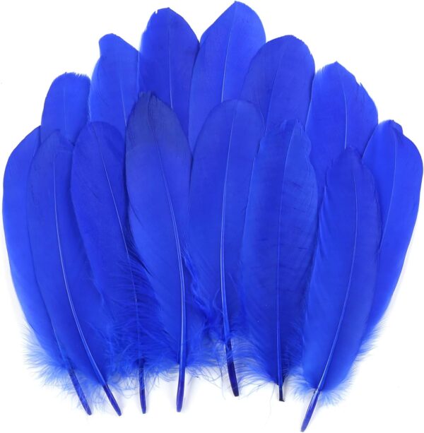 Feathers: Meaning and Cultural Use - Image 22