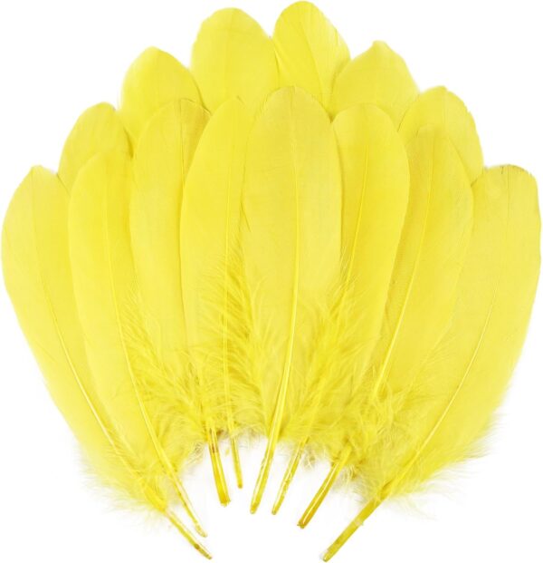 Feathers: Meaning and Cultural Use - Image 15