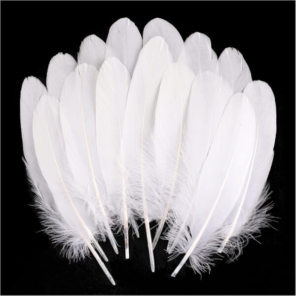 Feathers: Meaning and Cultural Use - Image 3