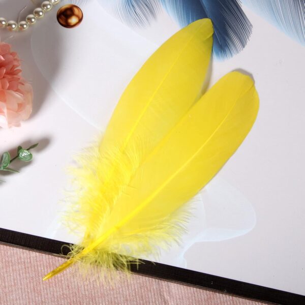 Feathers: Meaning and Cultural Use - Image 12