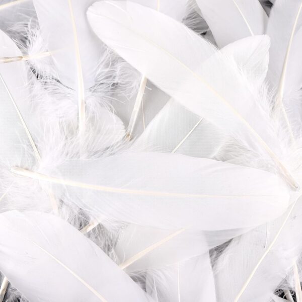 Feathers: Meaning and Cultural Use - Image 4
