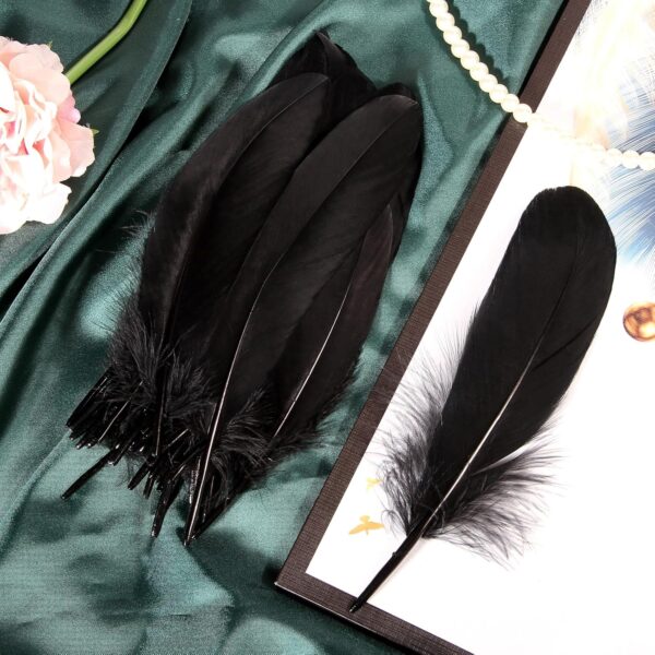 Feathers: Meaning and Cultural Use - Image 36