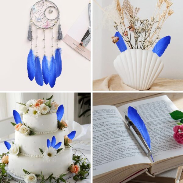 Feathers: Meaning and Cultural Use - Image 19
