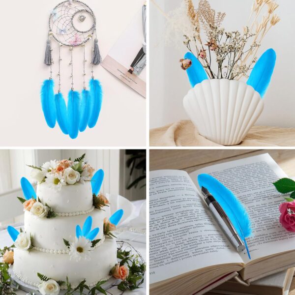Feathers: Meaning and Cultural Use - Image 2