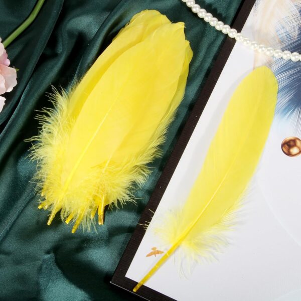 Feathers: Meaning and Cultural Use - Image 10
