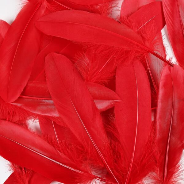 Feathers: Meaning and Cultural Use - Image 33