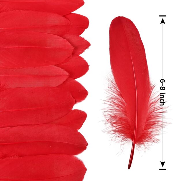 Feathers: Meaning and Cultural Use - Image 34