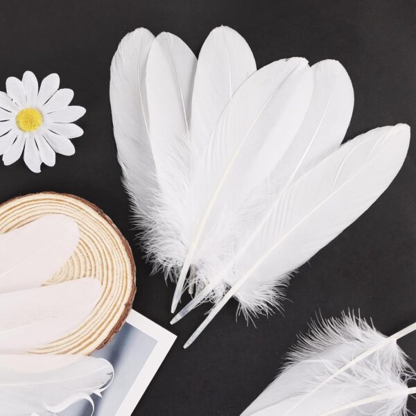 Feathers: Meaning and Cultural Use - Image 5