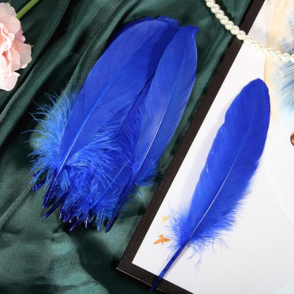 Feathers: Meaning and Cultural Use - Image 17