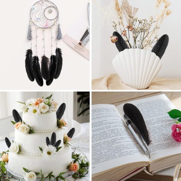 Feathers: Meaning and Cultural Use - Image 39