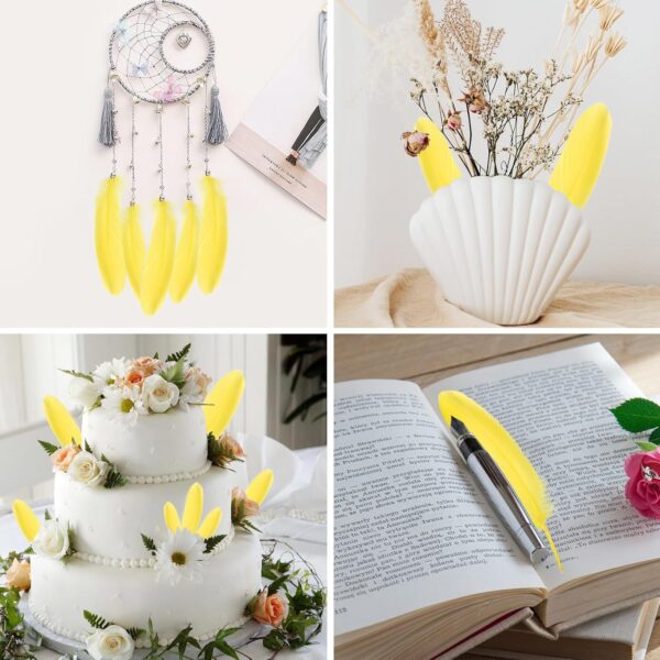 Feathers: Meaning and Cultural Use - Image 11
