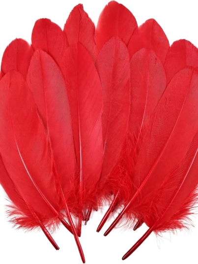 Feathers: Meaning and Cultural Use
