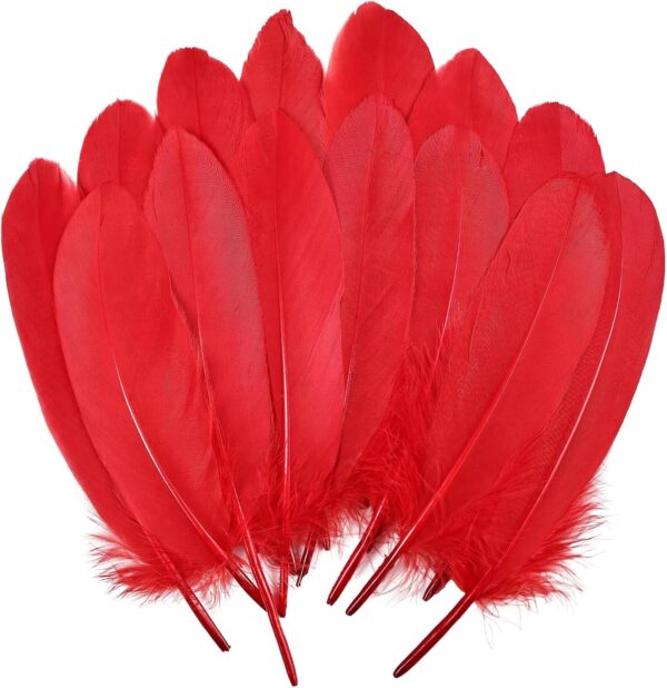 Feathers: Meaning and Cultural Use