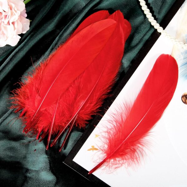 Feathers: Meaning and Cultural Use - Image 30