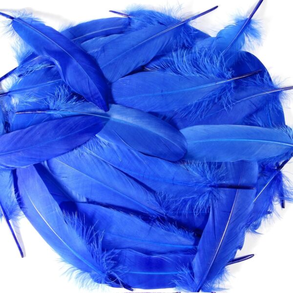 Feathers: Meaning and Cultural Use - Image 18
