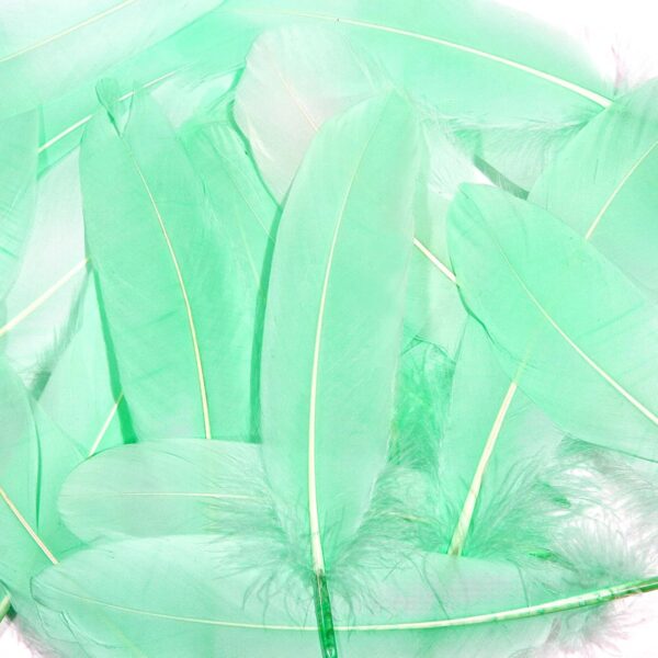Feathers: Meaning and Cultural Use - Image 26