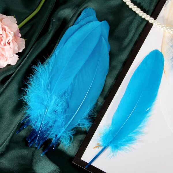 Feathers: Meaning and Cultural Use - Image 41