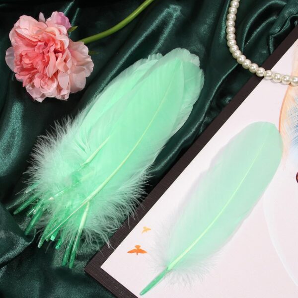 Feathers: Meaning and Cultural Use - Image 24