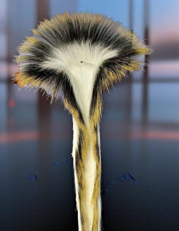 Porcupine Guard Hair: Uses Benefits & Natural Advantages - Image 2