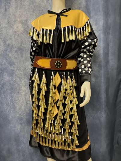 Jingle Dress: History, Meaning & Dance Tradition